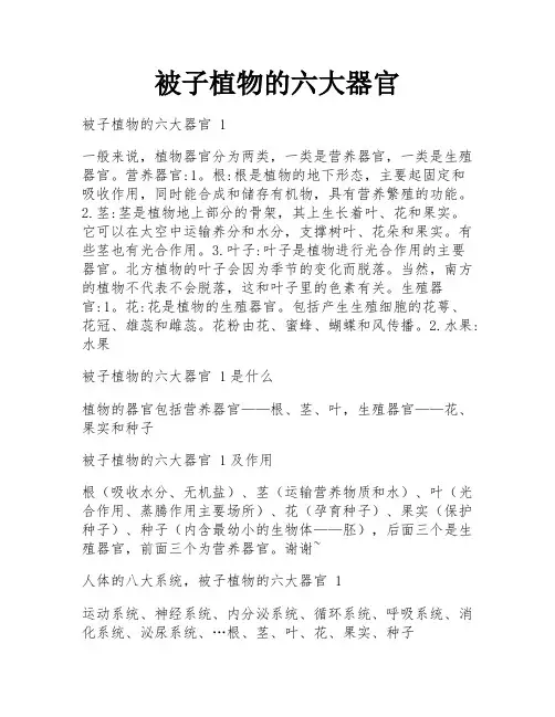 被子植物的六大器官