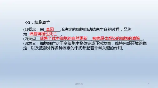 【学习方案】2020高考生物二轮复习第5章细胞的生命历程课件_2_6-10
