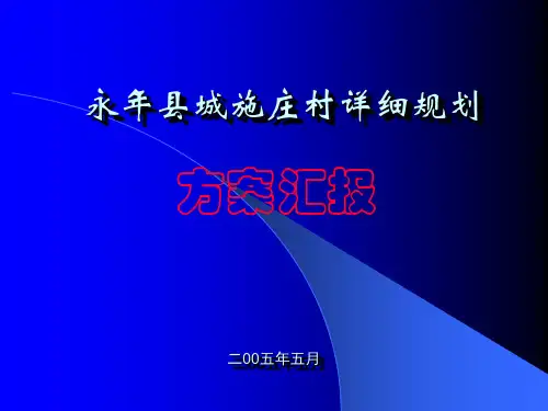 永年县城施庄村详细规划汇报