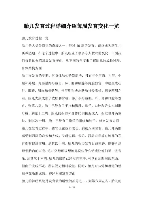 胎儿发育过程详细介绍每周发育变化一览