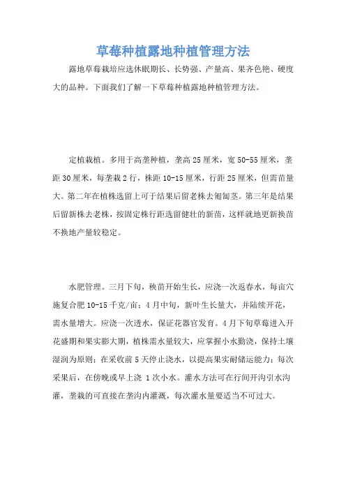 草莓种植露地种植管理方法