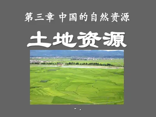 《土地资源》中国的自然资源PPT课件5