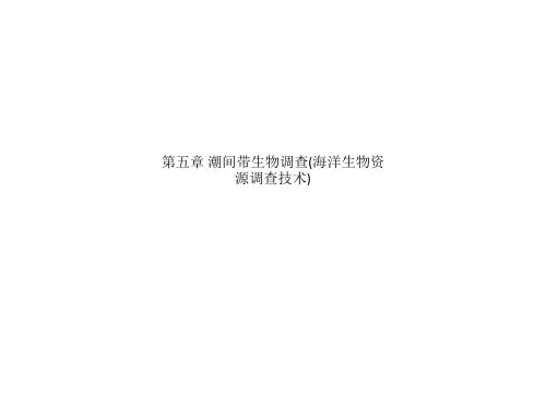 第五章 潮间带生物调查(海洋生物资源调查技术)