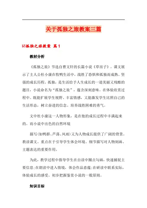 关于孤独之旅教案三篇