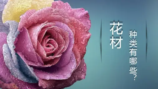 花材的种类