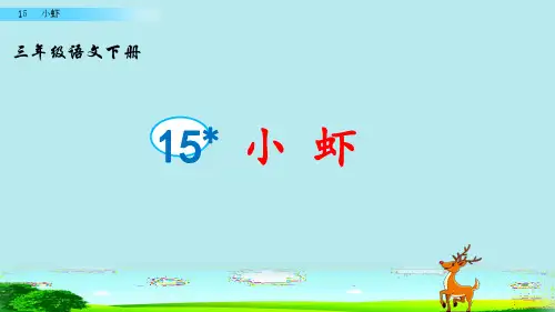 三年级语文下册《小虾》PPT课件