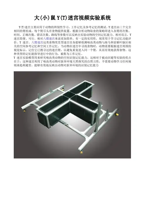 MSY-1型T(Y)迷宫视频实验系统说明书