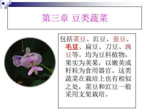 第三章 豆类蔬菜  蔬菜学教学课件