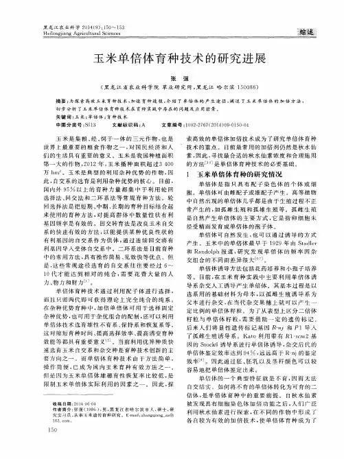 玉米单倍体育种技术的研究进展