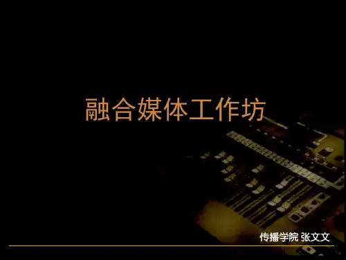 导视参考完整案例.ppt