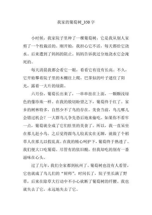 我家的葡萄树_350字作文