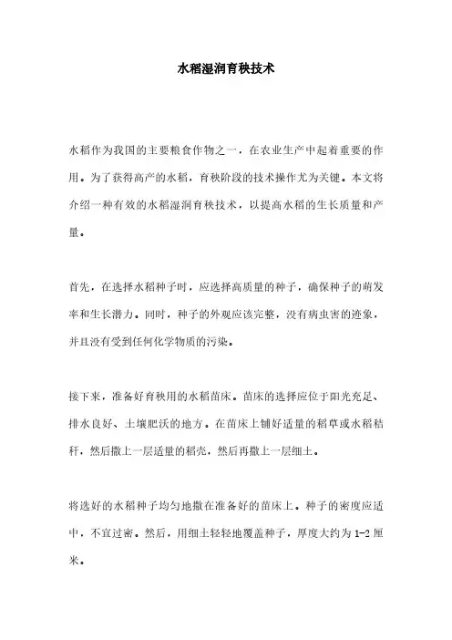 水稻湿润育秧技术