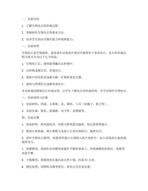 制作生物化石实验报告
