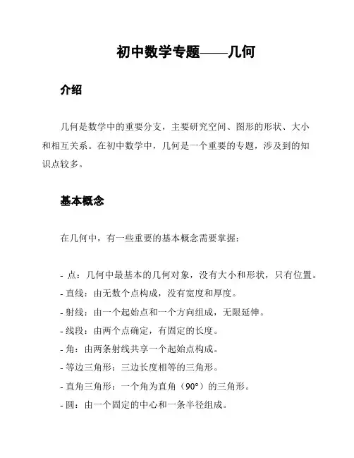 初中数学专题——几何