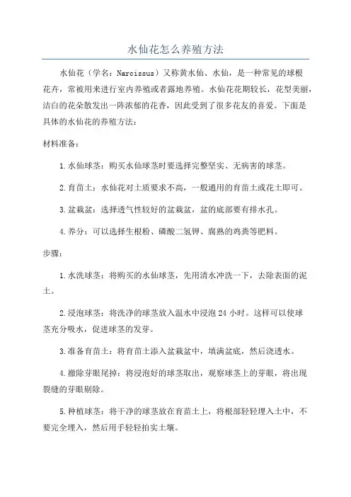水仙花怎么养殖方法