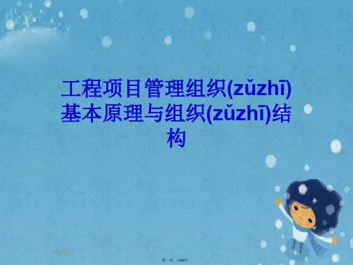 工程项目管理组织基本原理与组织结构