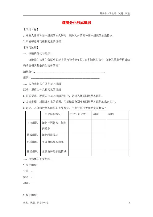 七年级生物上册2-4-1《细胞分化形成组织》导学案(新版)新人教版