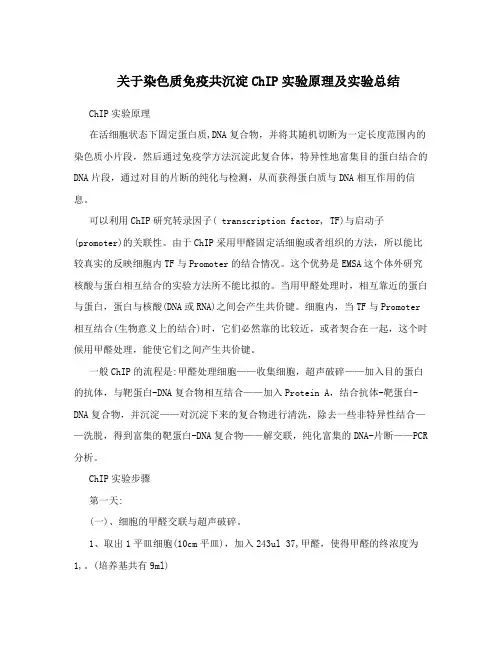 关于染色质免疫共沉淀ChIP实验原理及实验总结
