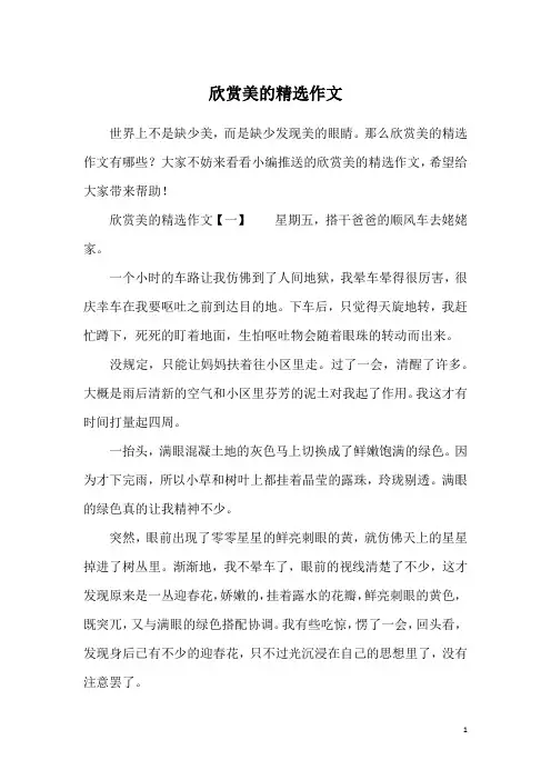 欣赏美的精选作文