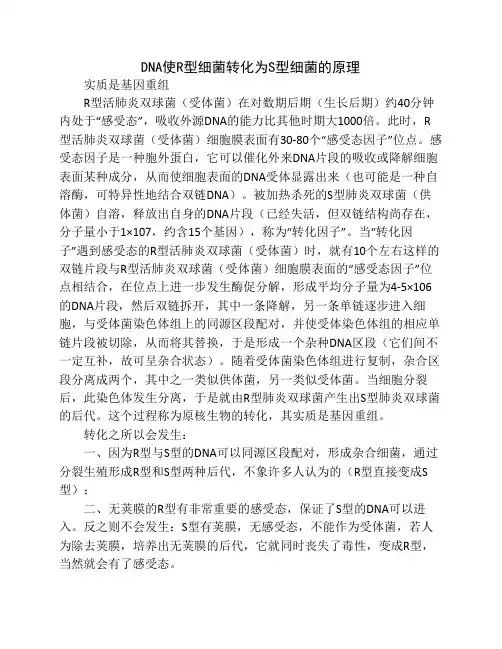 DNA使R型细菌转化为S型细菌的原理