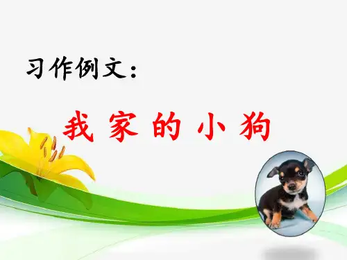 部编版三年级语文习作例文：我家的小狗-课件