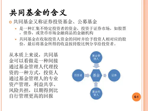 共同基金(3)