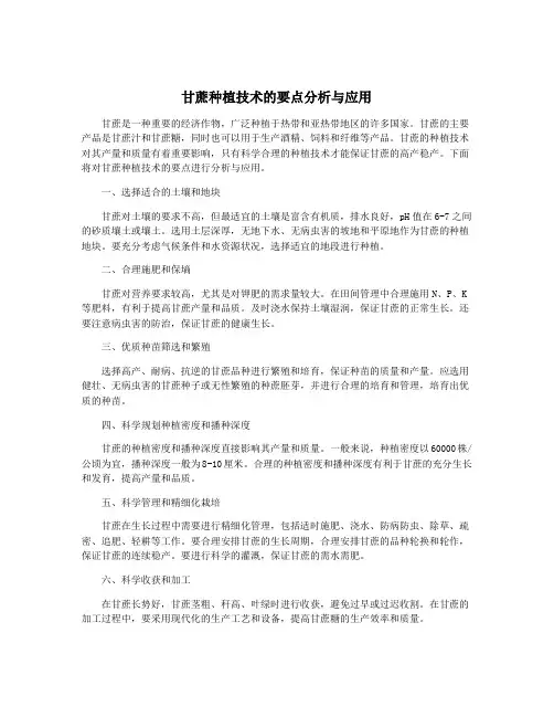 甘蔗种植技术的要点分析与应用