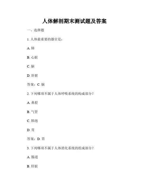 人体解剖期末测试题及答案