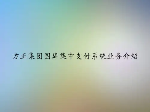 方正集团国库集中支付系统业务介绍