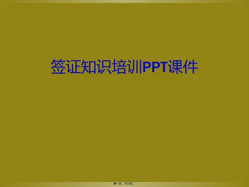 签证知识培训PPT课件