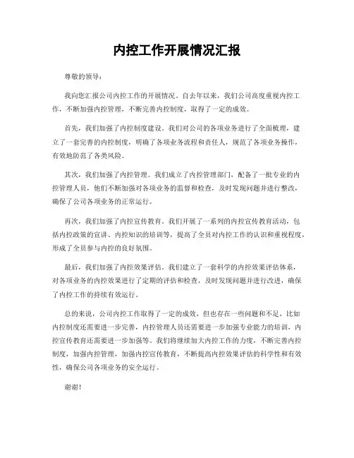 内控工作开展情况汇报