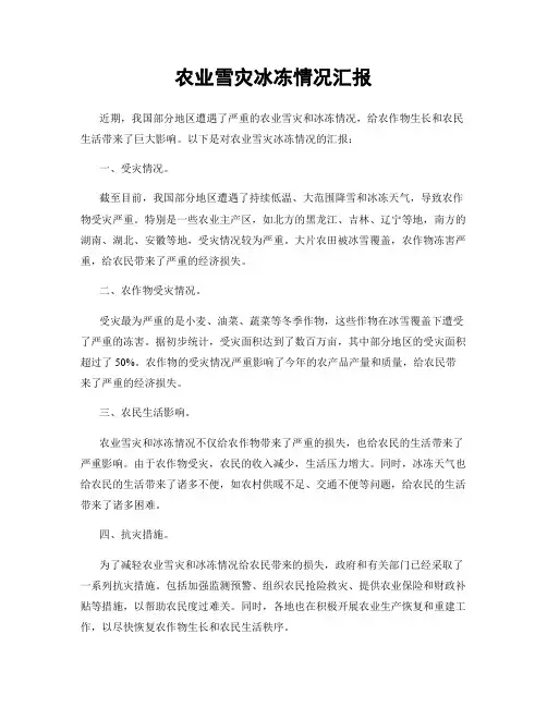 农业雪灾冰冻情况汇报