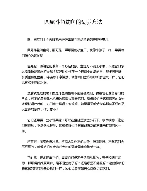 圆尾斗鱼幼鱼的饲养方法
