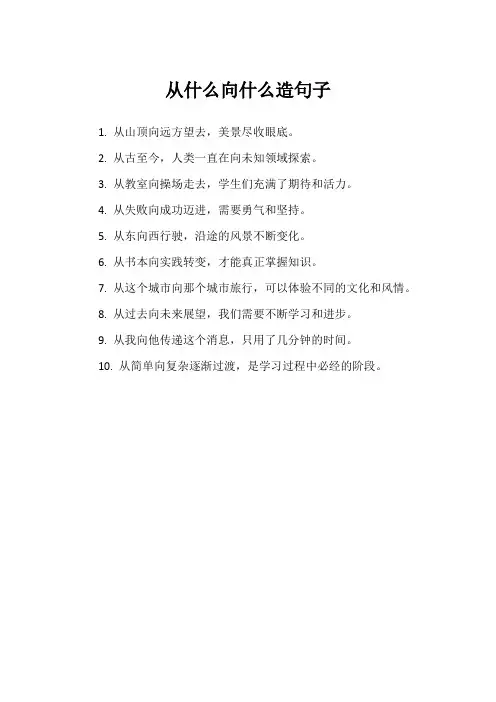 从什么向什么造句子