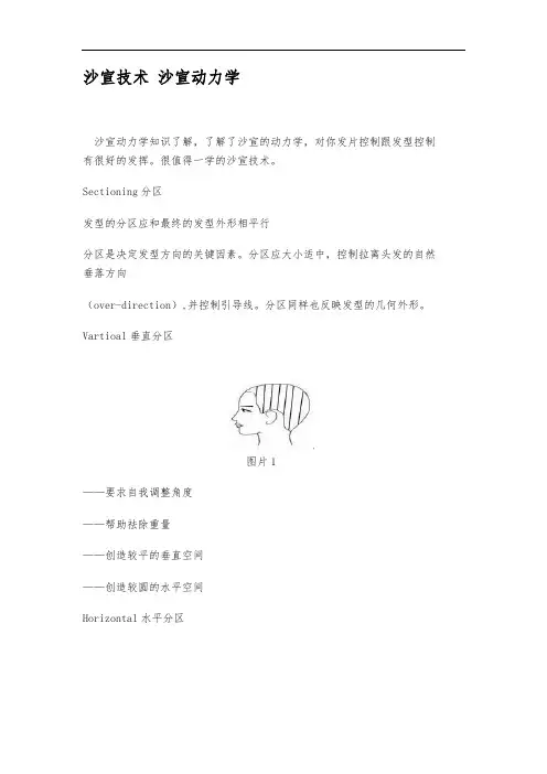 沙宣技术、沙宣动力学