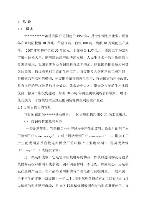 年产20万吨电解铜项目可行性研究报告