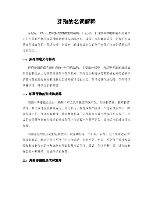 芽孢的名词解释
