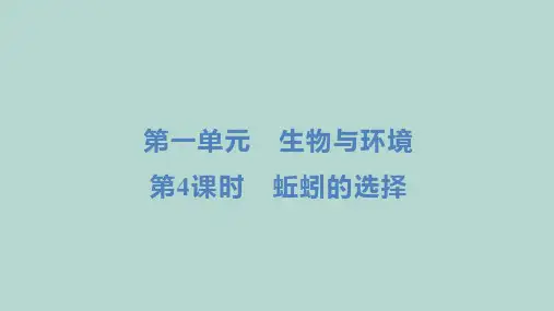 教科版科学五年级下册第一单元 生物与环境第4课时 蚯蚓的选择  课件