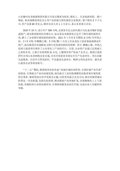 枣庄企业介绍--山东滕州辰龙能源集团有限公司