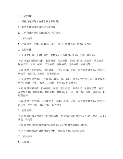 局部解剖学实验报告
