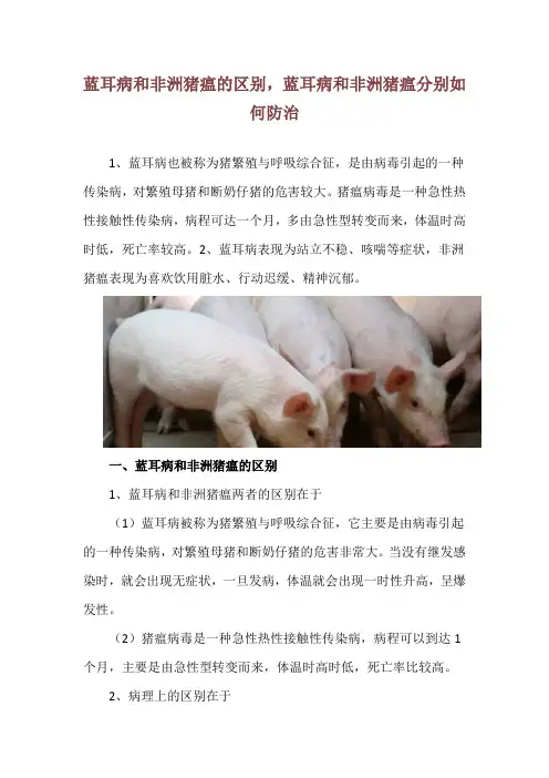 蓝耳病和非洲猪瘟的区别,蓝耳病和非洲猪瘟分别如何防治