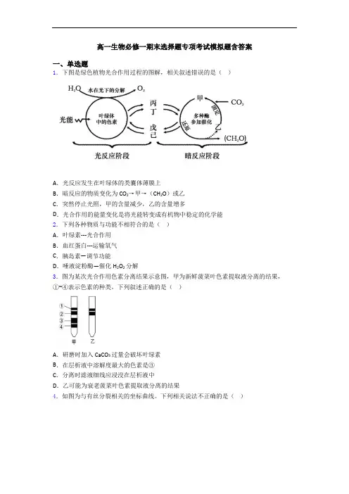 高一生物必修一期末选择题专项考试模拟题含答案