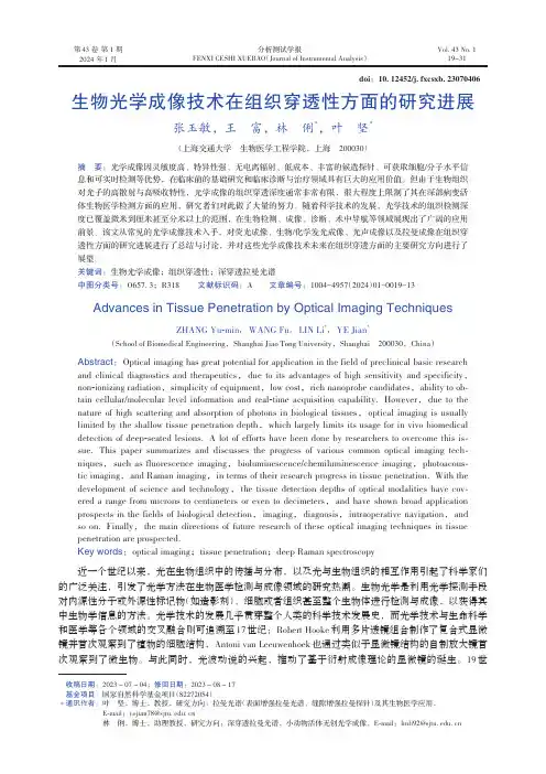 生物光学成像技术在组织穿透性方面的研究进展