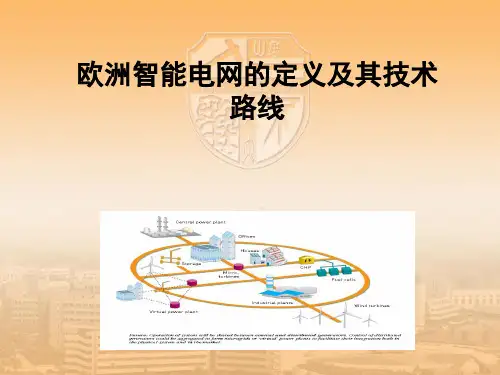欧洲智能电网的定义及其技术路线