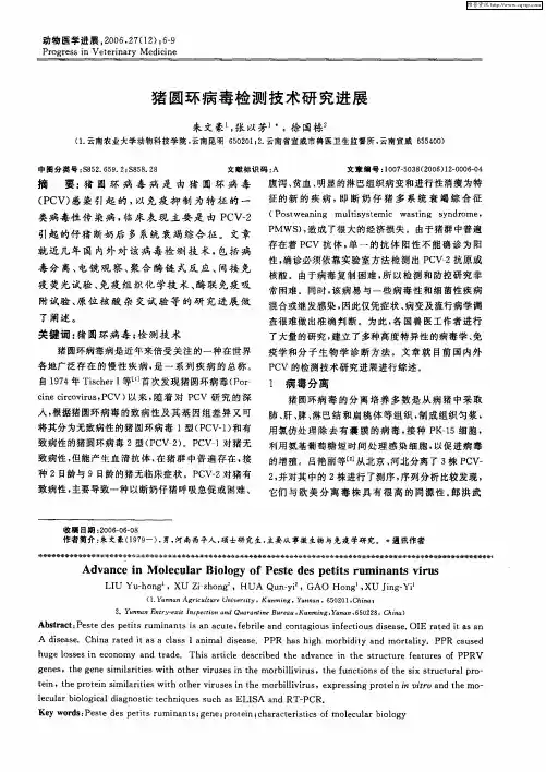 猪圆环病毒检测技术研究进展