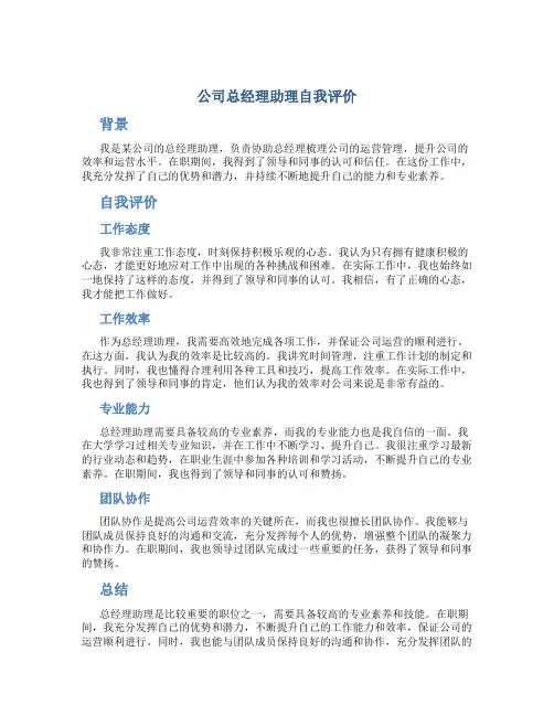 公司总经理助理自我评价