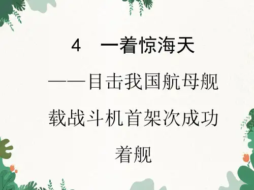 统编版语文八年级上册 4 一着惊海天课件