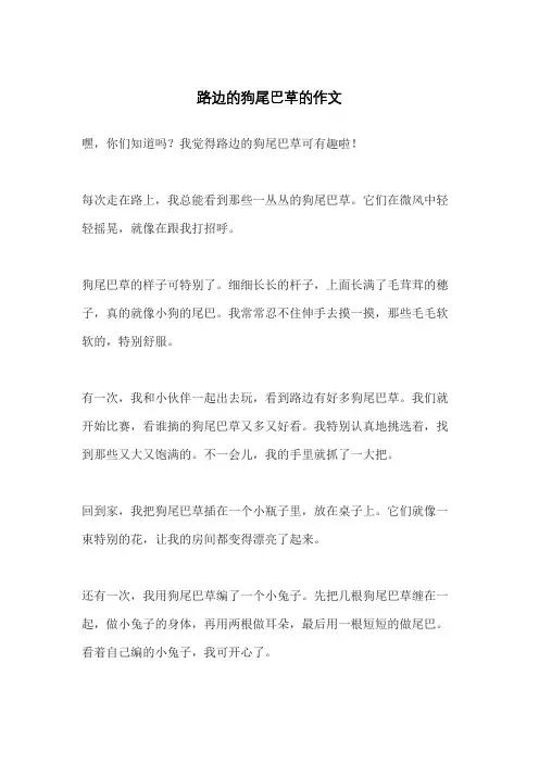 路边的狗尾巴草的作文