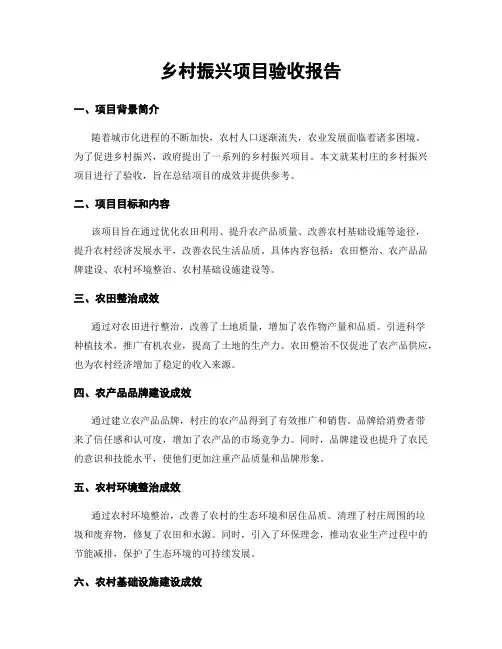 乡村振兴项目验收报告