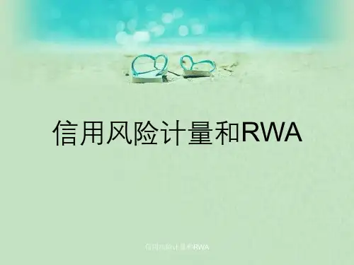 信用风险计量和RWA